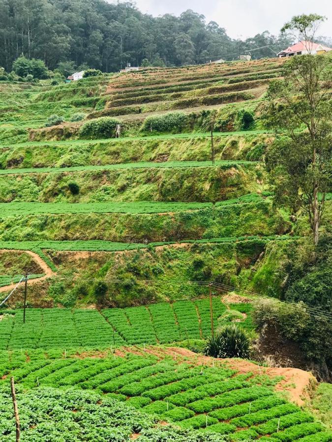 Mountain View Cottage อูตี ภายนอก รูปภาพ