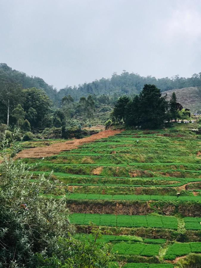 Mountain View Cottage อูตี ภายนอก รูปภาพ