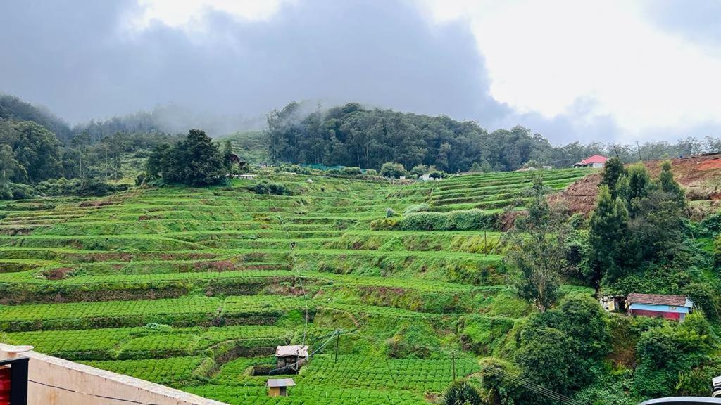 Mountain View Cottage อูตี ภายนอก รูปภาพ